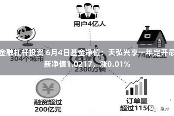 金融杠杆投资 6月4日基金净值：天弘兴享一年定开最新净值1.0217，涨0.01%