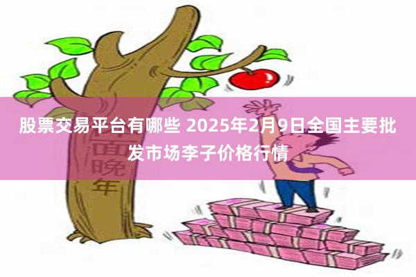 股票交易平台有哪些 2025年2月9日全国主要批发市场李子价格行情