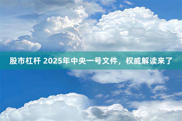 股市杠杆 2025年中央一号文件，权威解读来了