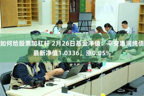 如何给股票加杠杆 2月26日基金净值：平安惠润纯债最新净值1.0336，涨0.05%